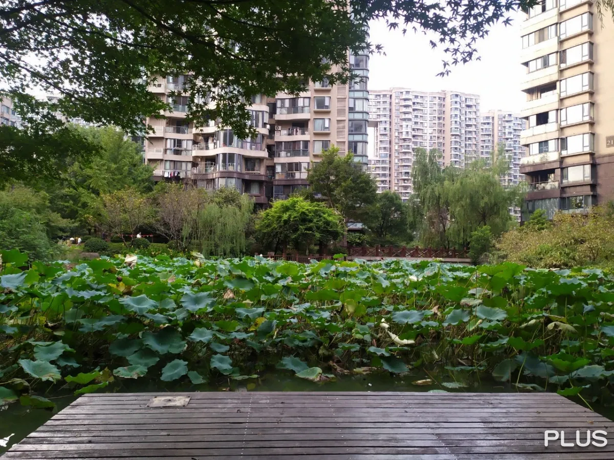 YJ Cultural Garden - Photo 68