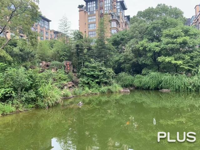 River Bay Garden