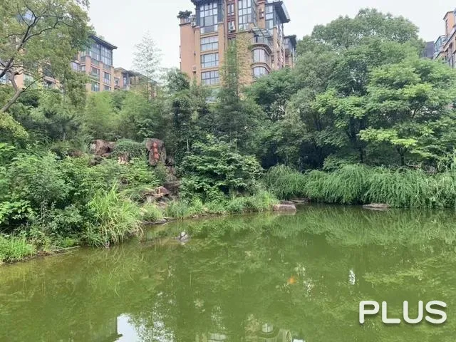 River Bay Garden - Photo 12