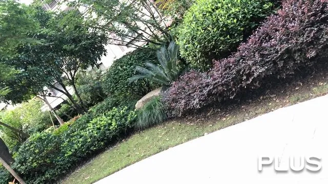 Pu Yue Bay - Photo 25