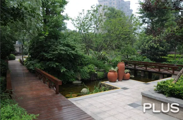 Wisdom World - Photo 23