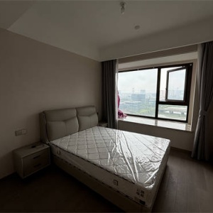 Hangzhou Bay