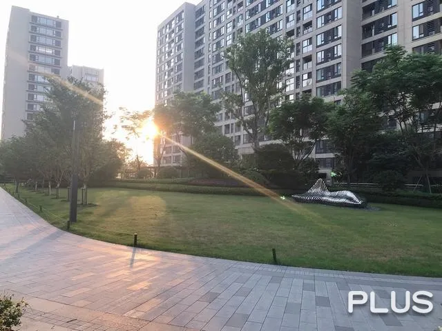 The Honor of City - Photo 23