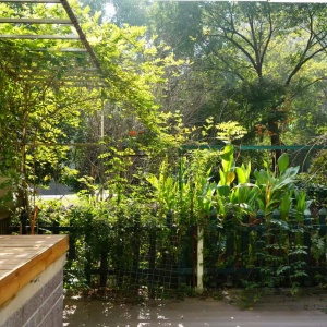 River Bay Garden
