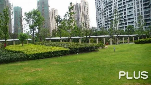 Wisdom World - Photo 37