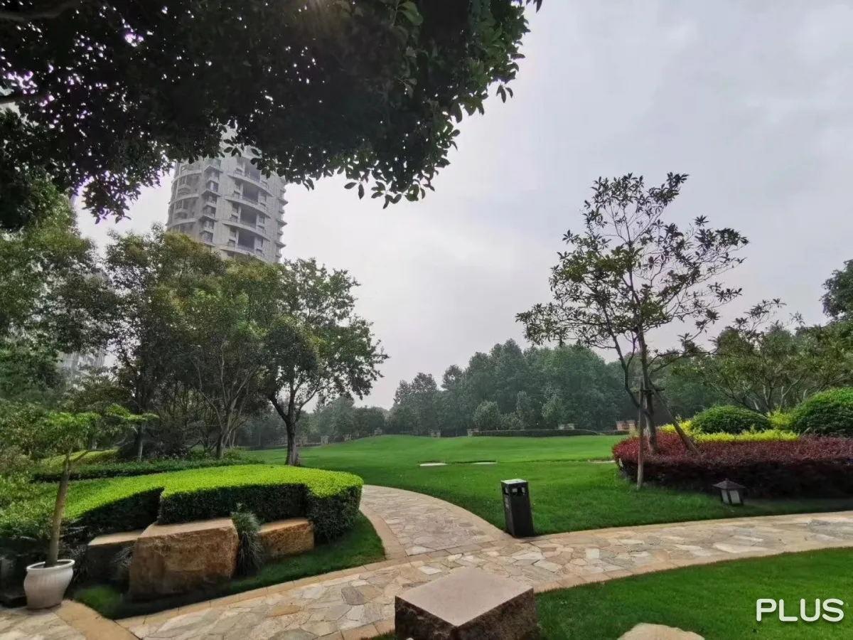 The Dreamland - Photo 39