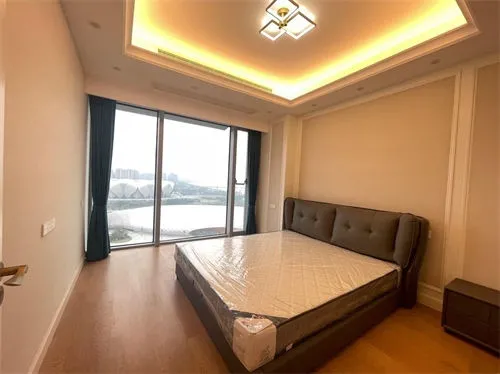 Dark Blue International Center