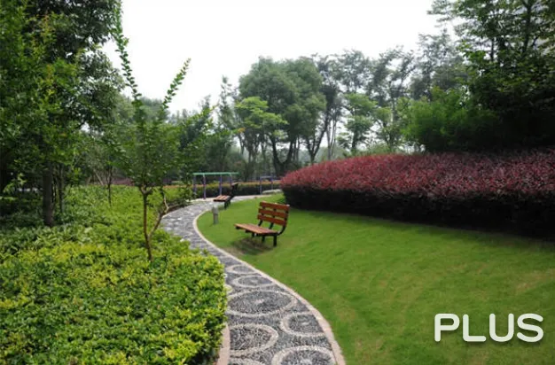 Wisdom World - Photo 21