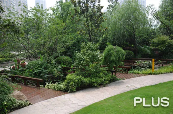 Wisdom World - Photo 24