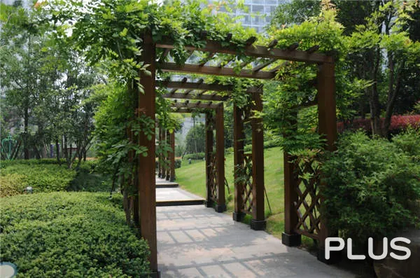 Wisdom World - Photo 27