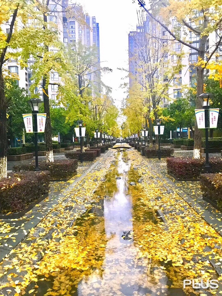 Rainbow city