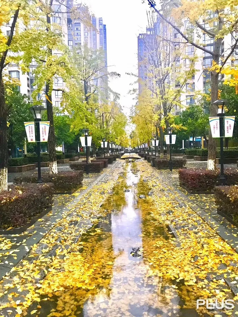 Rainbow city - Photo 33