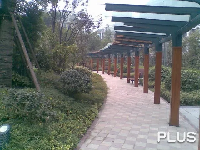 Wisdom World - Photo 34