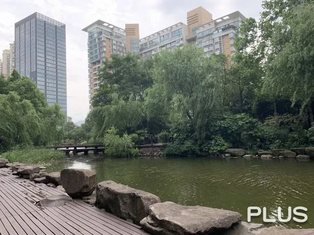 Ease Sky Plaza  - Photo 44