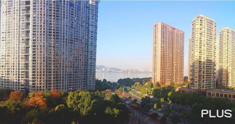 Wisdom World - Photo 28