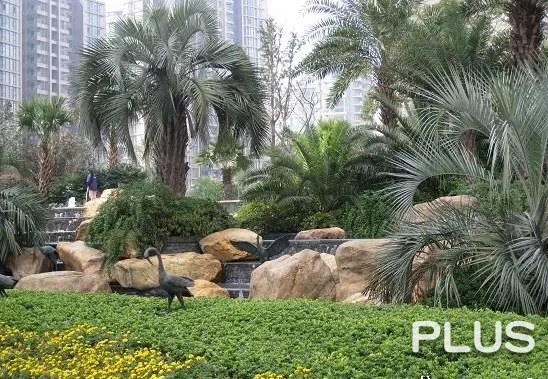 Rainbow city - Photo 37