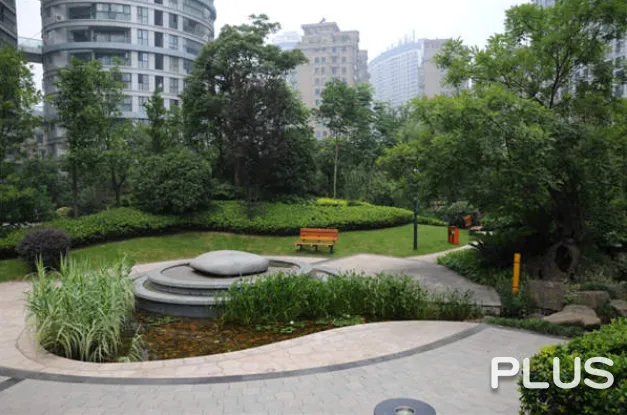 Wisdom World - Photo 22