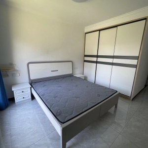 Dingshan Junfu