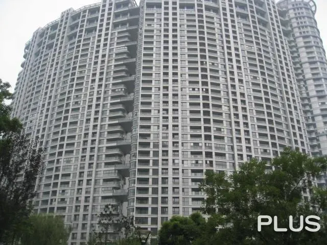 Wisdom World - Photo 38