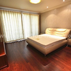 The Dreamland