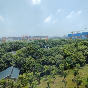 Metropolis Forest