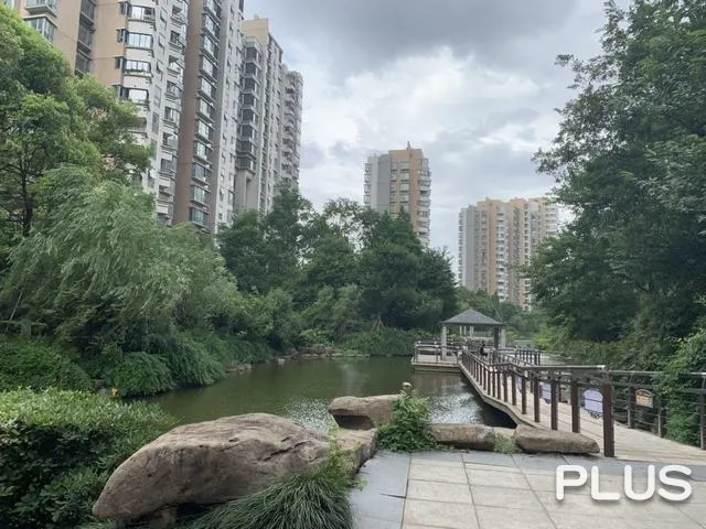 Ease Sky Plaza  - Photo 40