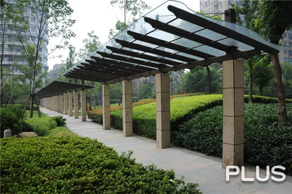 Wisdom World - Photo 25