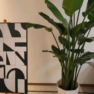 新希望锦畔云町府