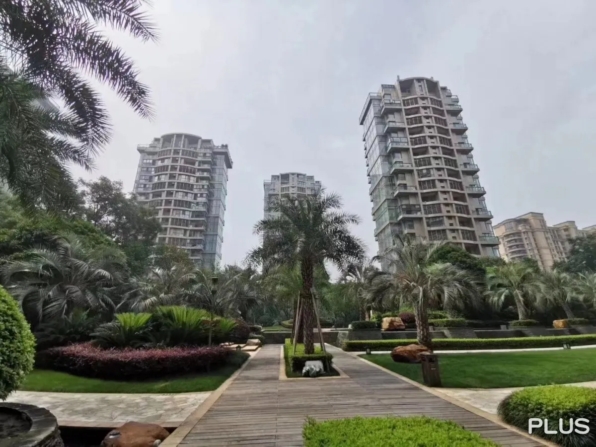 The Dreamland - Photo 40