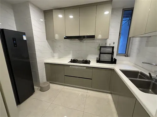 Dark Blue International Center