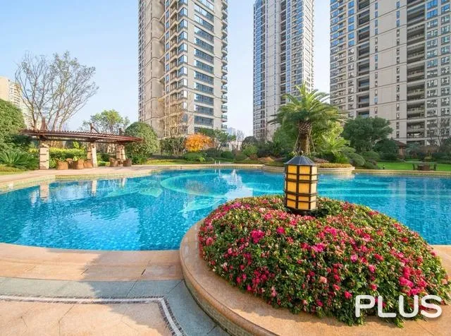 Jiangnan Star - Photo 31