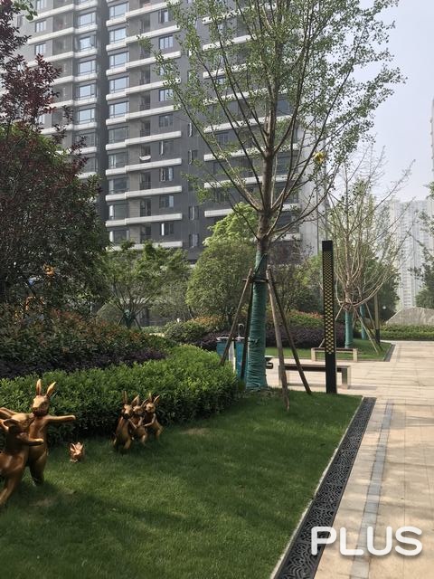 Country Garden