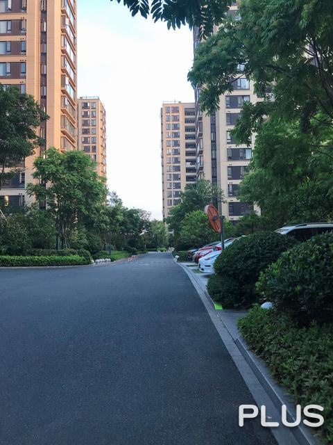 The Honor of City