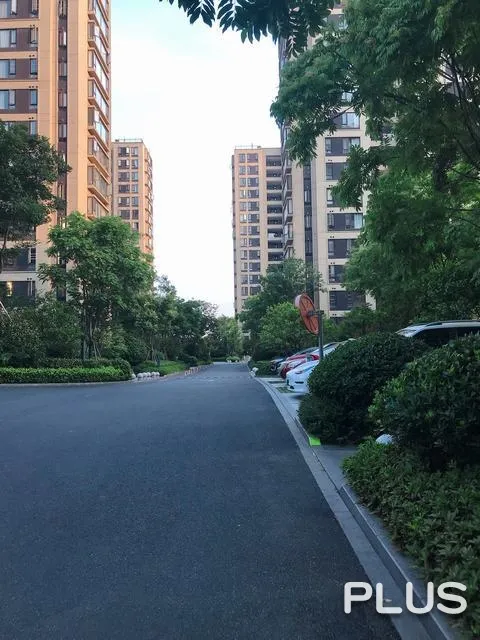 The Honor of City - Photo 21