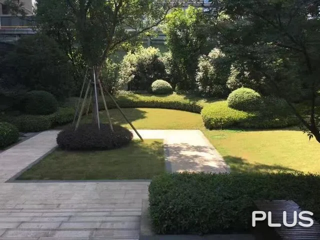 Upper Mixc - Photo 15