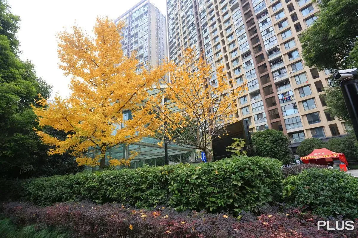 Hai Wei International - Photo 12