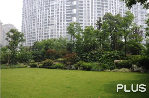 Wisdom World - Photo 29