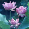 莫文琴
