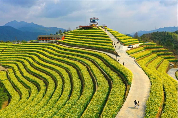Breathing new life into Zhejiang's ancient towns