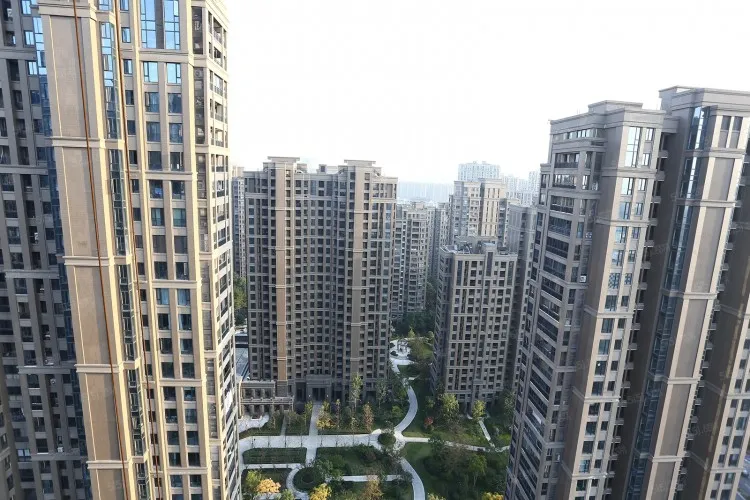 Kangcheng International