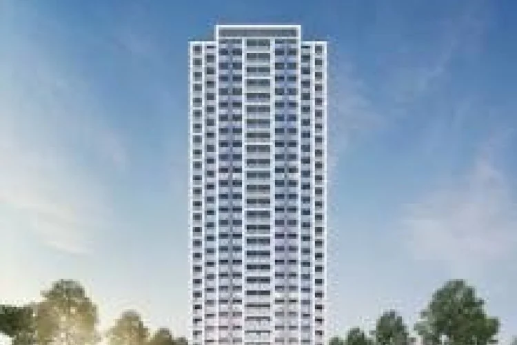 Ru Lan Manison - Photo 1