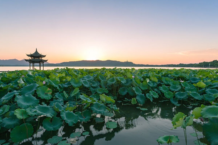 Best Places to visit in Hangzhou