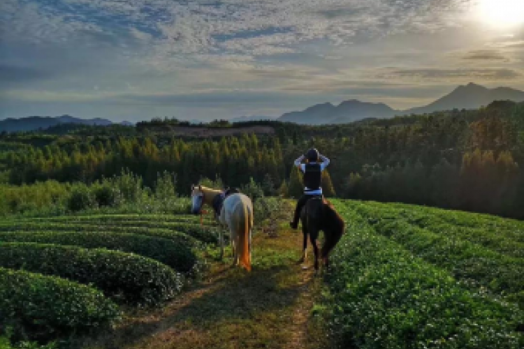Great Places for Spring Getaways Around Hangzhou