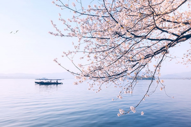 Best time to visit Hangzhou