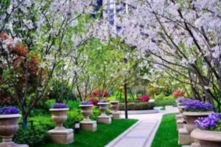Top 10 compounds near Basis International School
