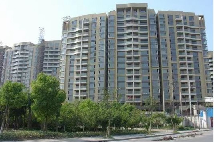 New City International