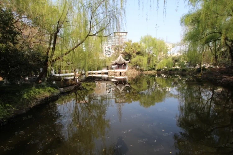 Villa Grove Garden