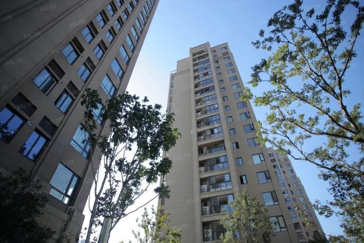 scenery intl - Photo 1