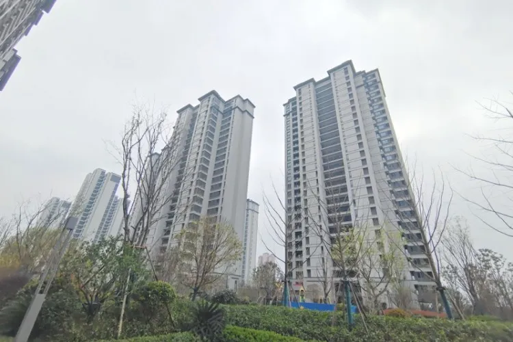 XiYuChengZhangFu