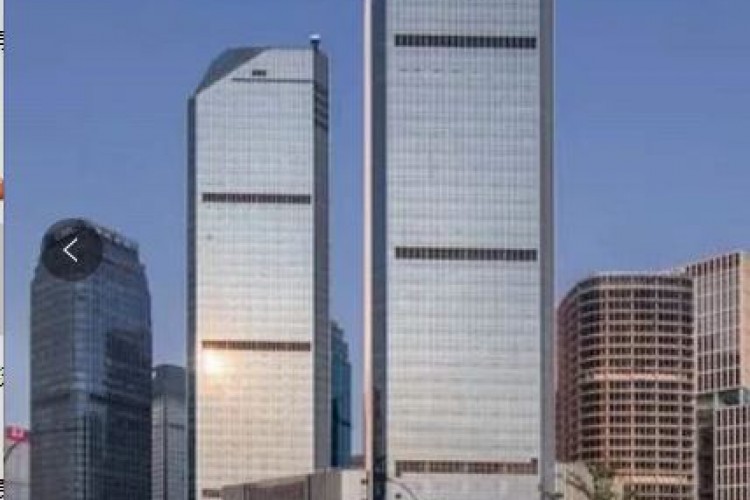 Shi Bao International